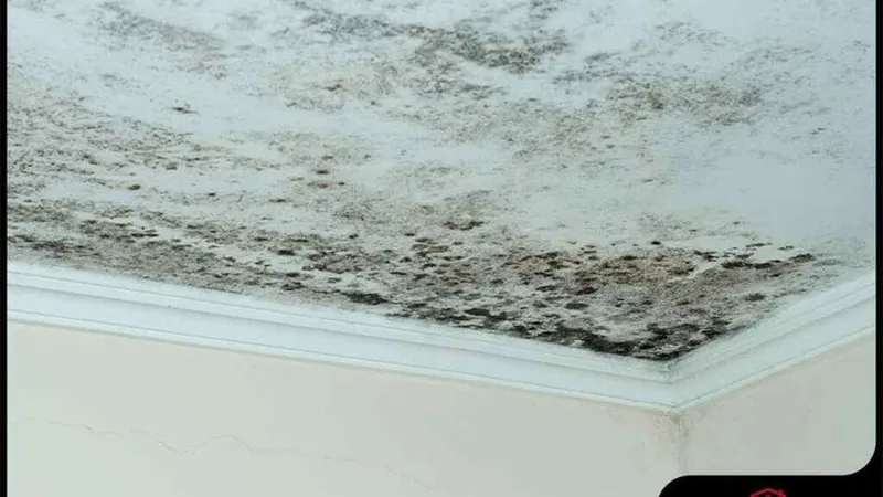 How Moisture Causes Damage to Your Roof