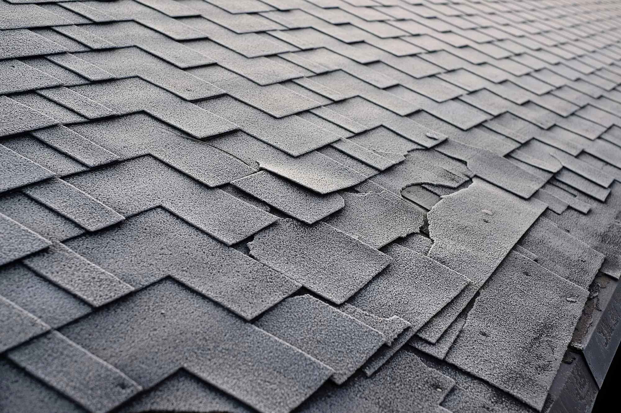 local roofing company in Newnan