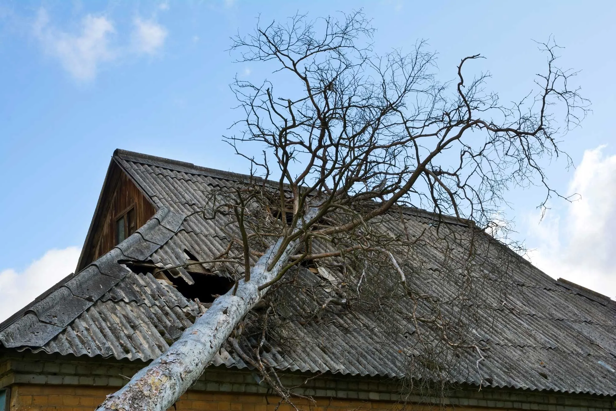 Trusted storm damage repair in Newnan