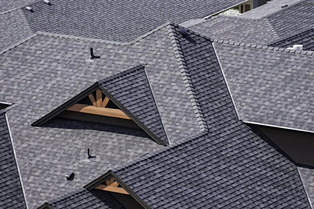 Roofing services in Pike County, GA